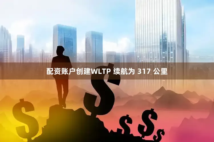 配资账户创建WLTP 续航为 317 公里