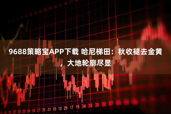 9688策略宝APP下载 哈尼梯田：秋收褪去金黄，大地轮廓尽显