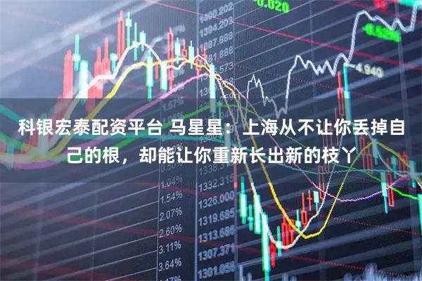 科银宏泰配资平台 马星星：上海从不让你丢掉自己的根，却能让你重新长出新的枝丫